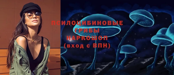 стафф Тобольск