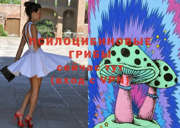 прущие грибы Фурманов
