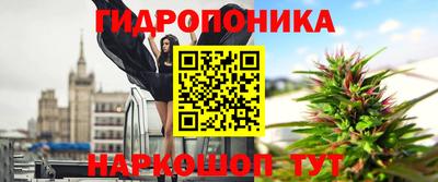 крисы Бузулук