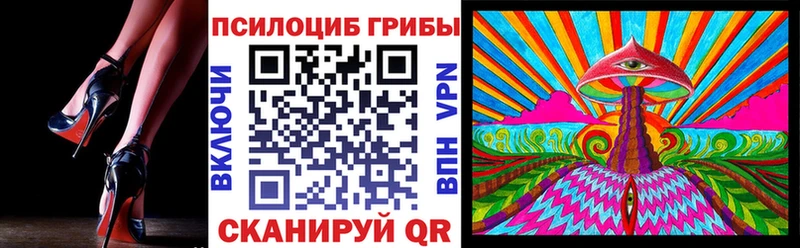 mega tor  Вязники  Псилоцибиновые грибы Psilocybe  закладка 