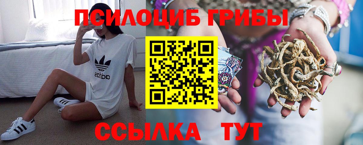 Псилоцибиновые грибы Cubensis Вязники